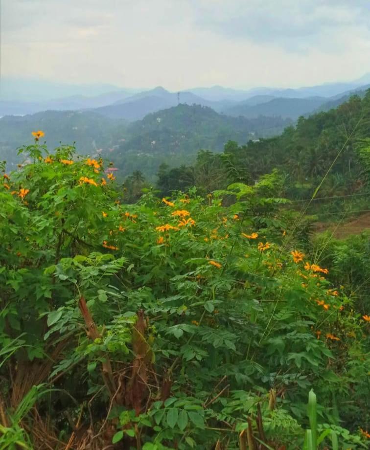 Kandy Ivy Mountain View Resort Exteriör bild