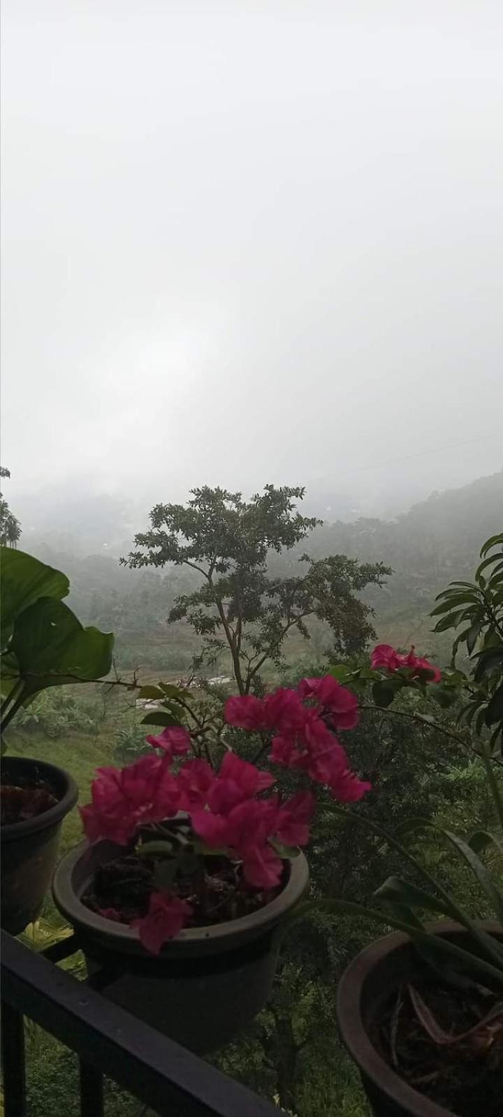 Kandy Ivy Mountain View Resort Exteriör bild