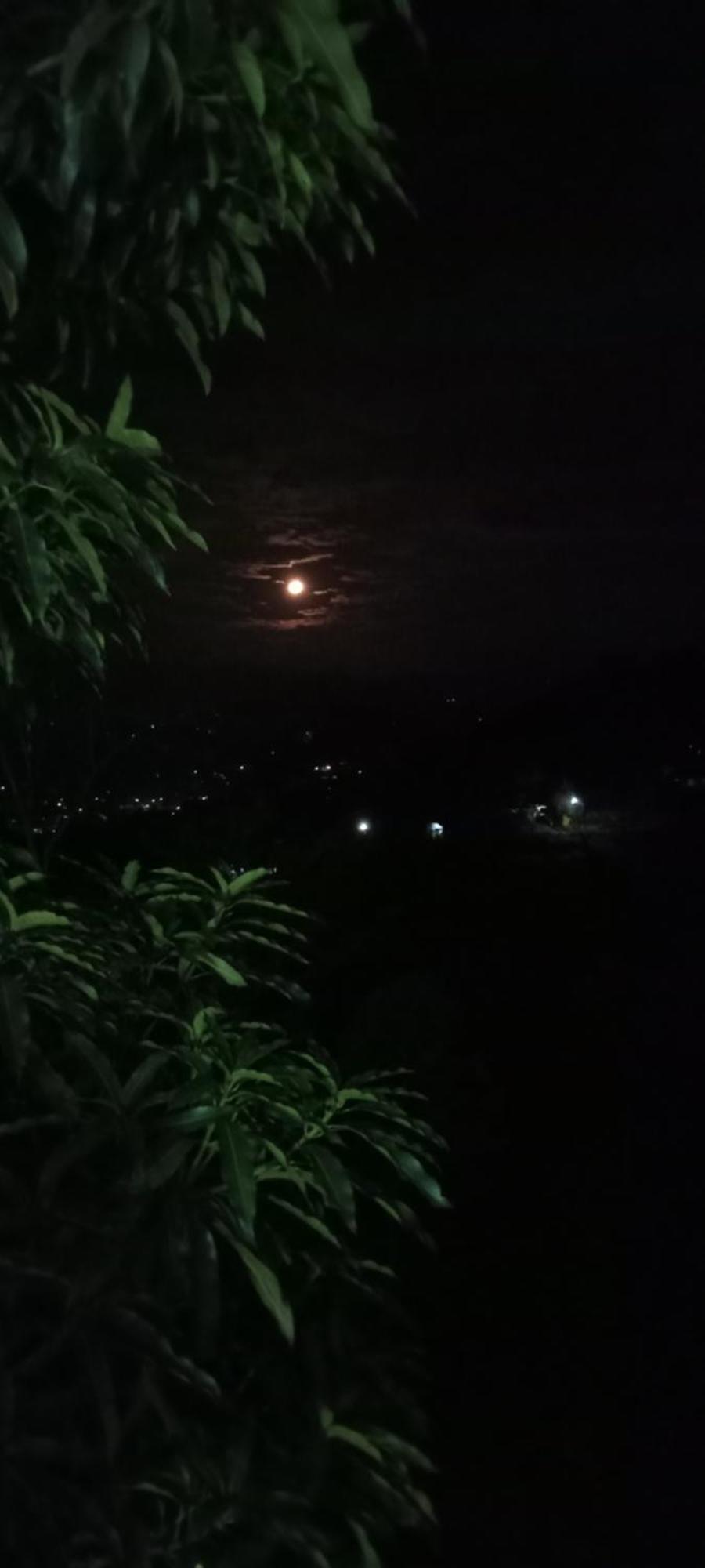Kandy Ivy Mountain View Resort Rum bild